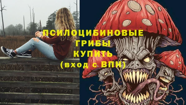 ECSTASY Киренск