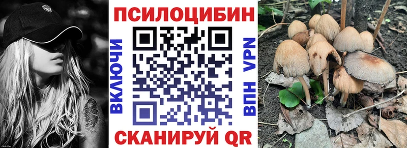 Купить закладки  Южно-Сахалинск  Галлюциногенные грибы мухоморы 